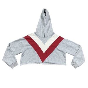 Allard State Gray Cropped Hoodie Sweatshirt Large